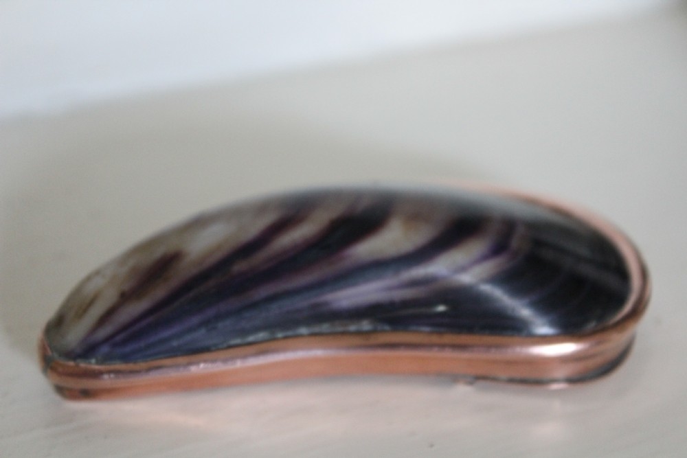 An antique mussel shell pocket snuff box with polished dark purple and brown concentric growth lines framed by a copper metal rim. View II