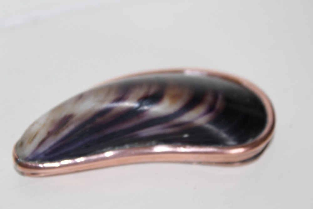 An antique mussel shell pocket snuff box with polished dark purple and brown concentric growth lines framed by a copper metal rim. View III