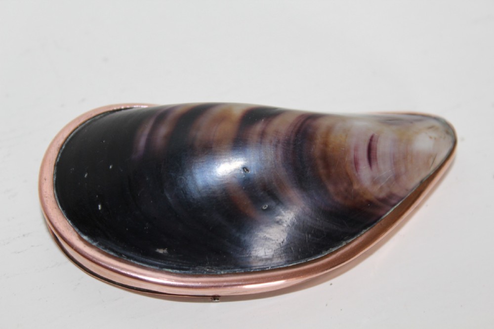 An antique mussel shell pocket snuff box with polished dark purple and brown concentric growth lines framed by a copper metal rim. View IV