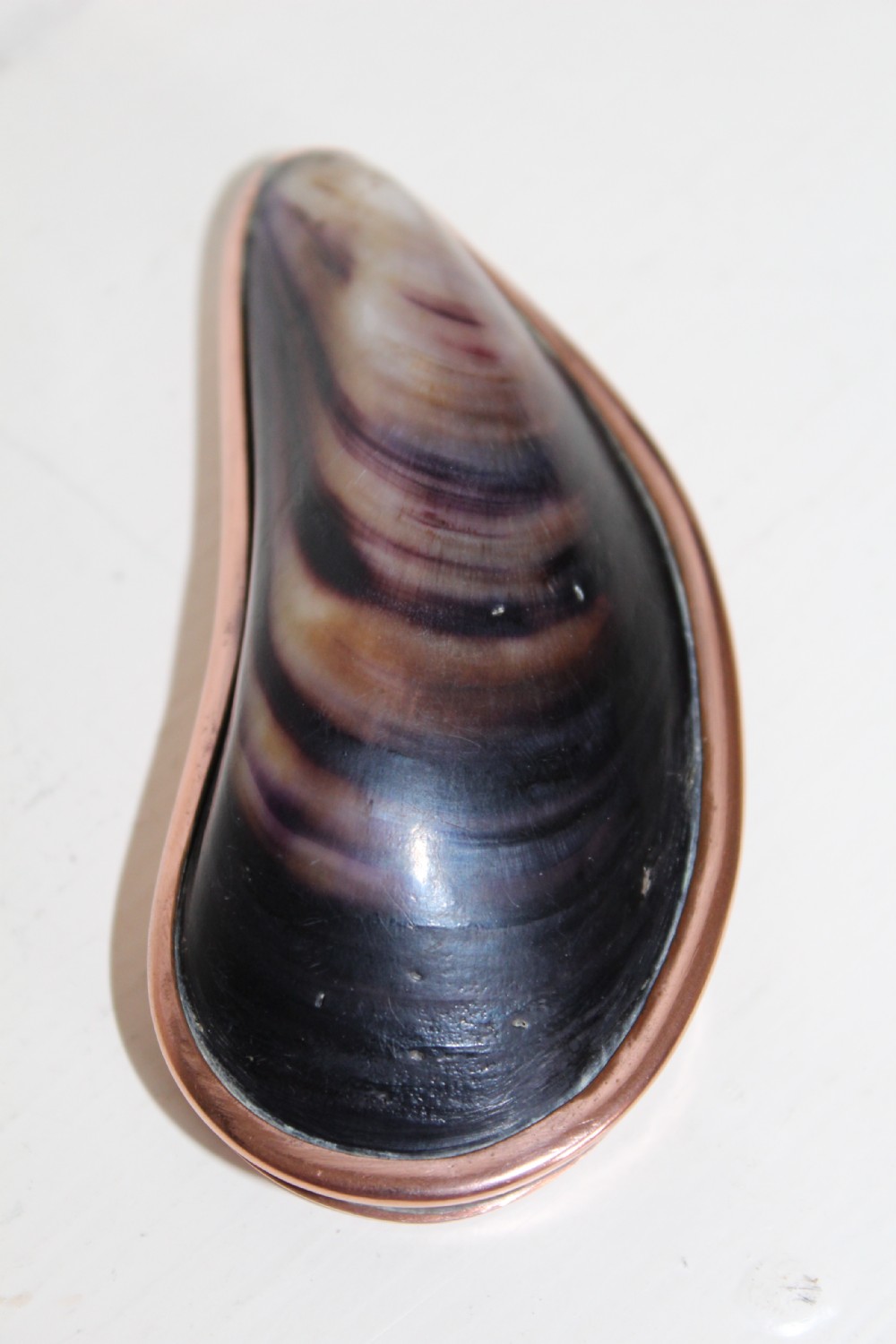 An antique mussel shell pocket snuff box with polished dark purple and brown concentric growth lines framed by a copper metal rim. View VII