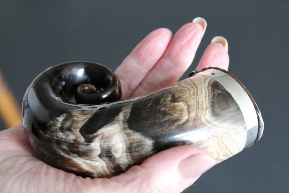 A larger than usual Scottish snuff mull the horn with beautiful markings View IX