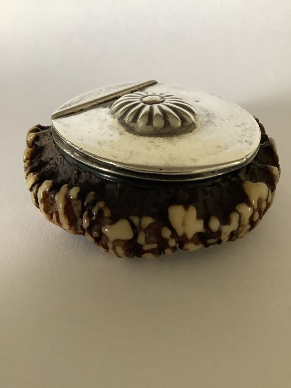 A 19th-century Scottish circular staghorn snuff box featuring a dark textured antler coronet base and a polished silver hinged lid with a fluted central motif.