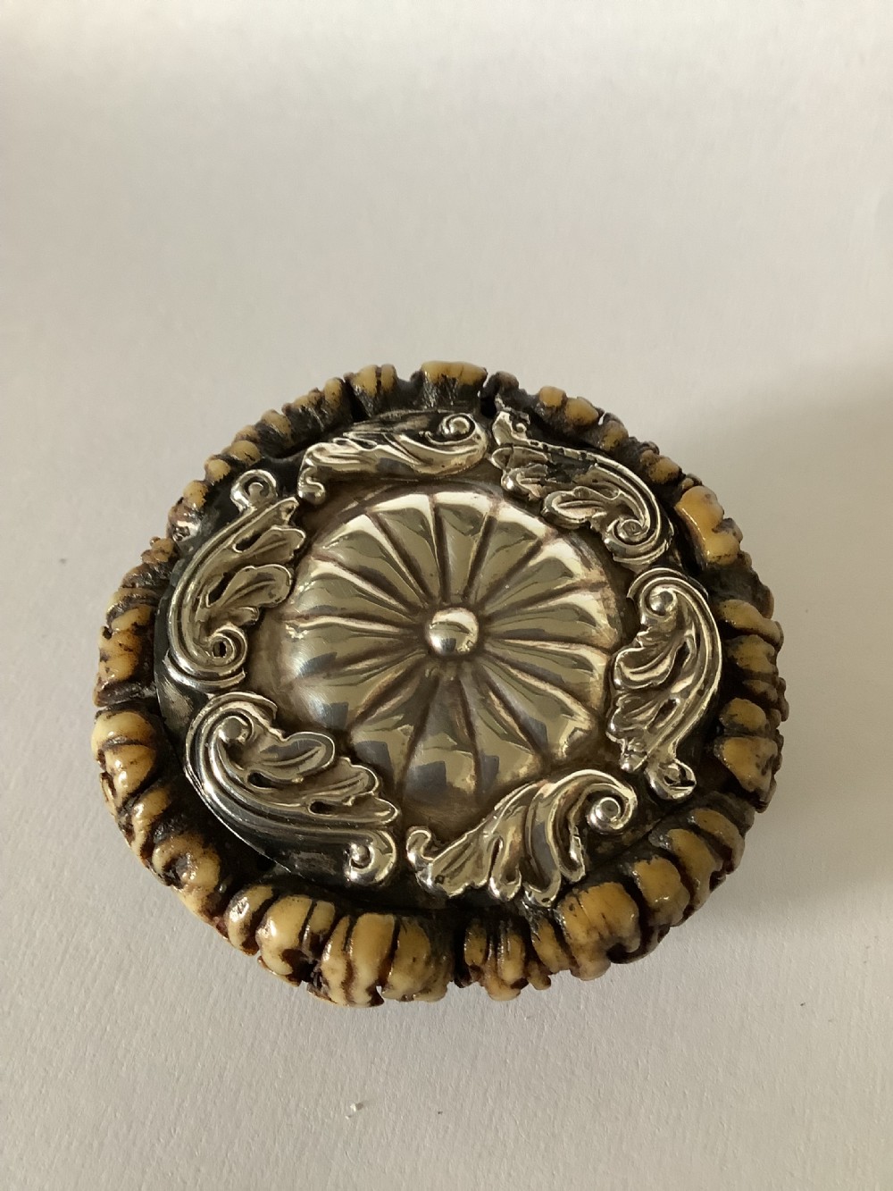 A 19th-century Scottish circular staghorn snuff box featuring a dark textured antler coronet base and a polished silver hinged lid with a fluted central motif. View III
