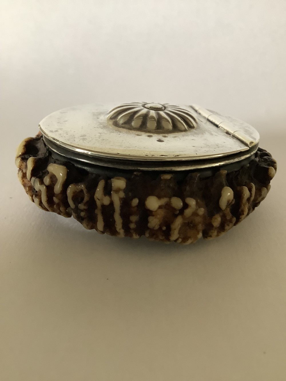 A 19th-century Scottish circular staghorn snuff box featuring a dark textured antler coronet base and a polished silver hinged lid with a fluted central motif. View IV
