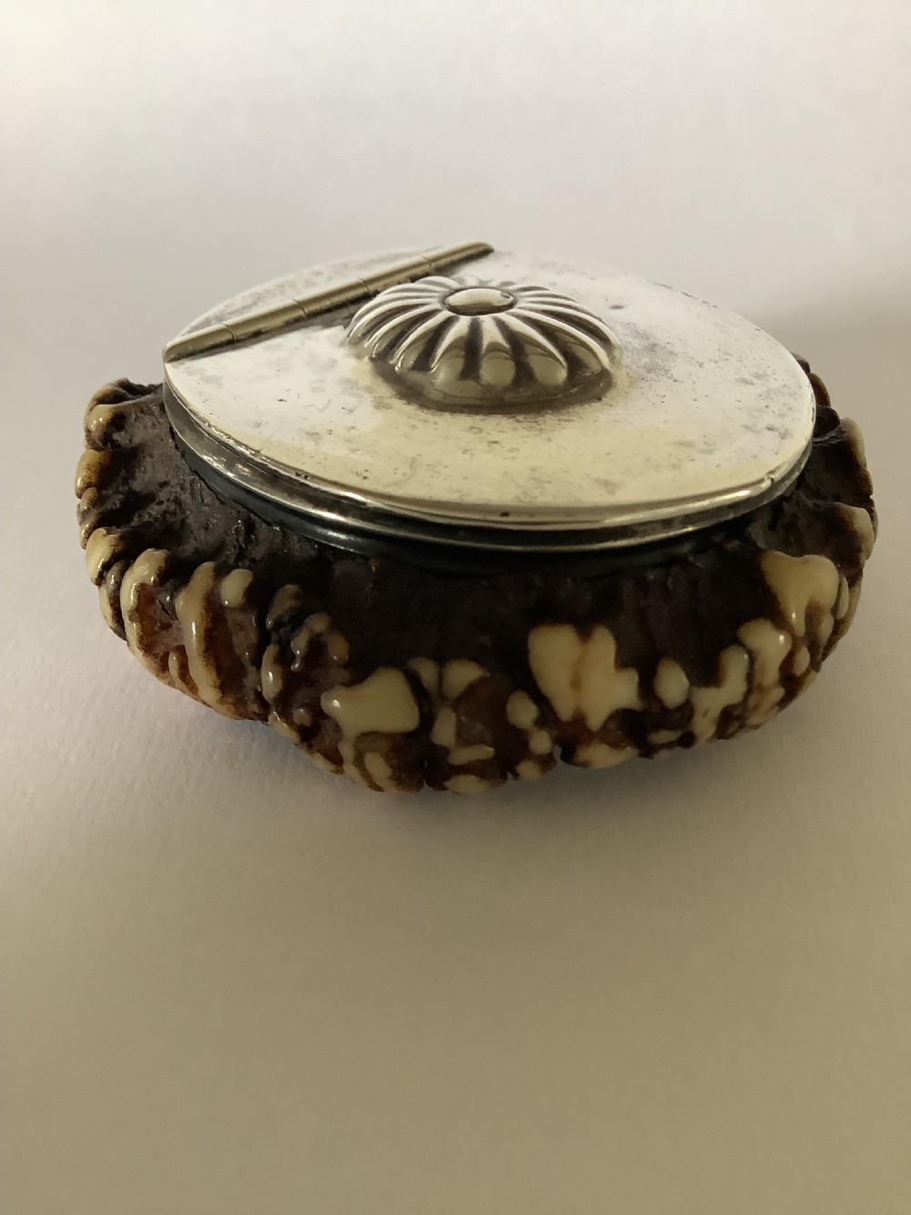 A 19th-century Scottish circular staghorn snuff box featuring a dark textured antler coronet base and a polished silver hinged lid with a fluted central motif. View V