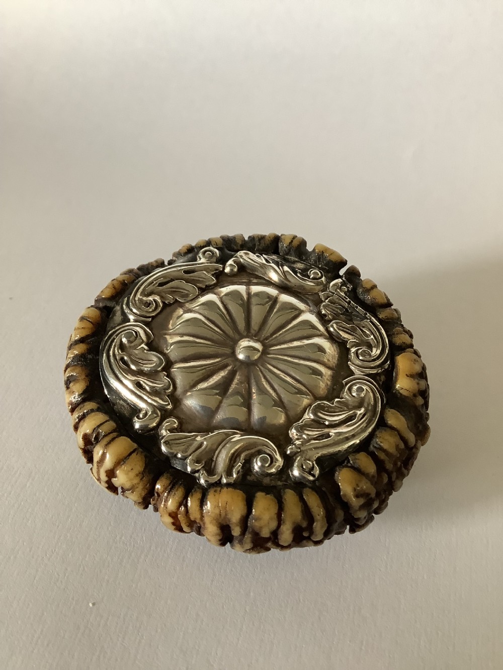A 19th-century Scottish circular staghorn snuff box featuring a dark textured antler coronet base and a polished silver hinged lid with a fluted central motif. View VII