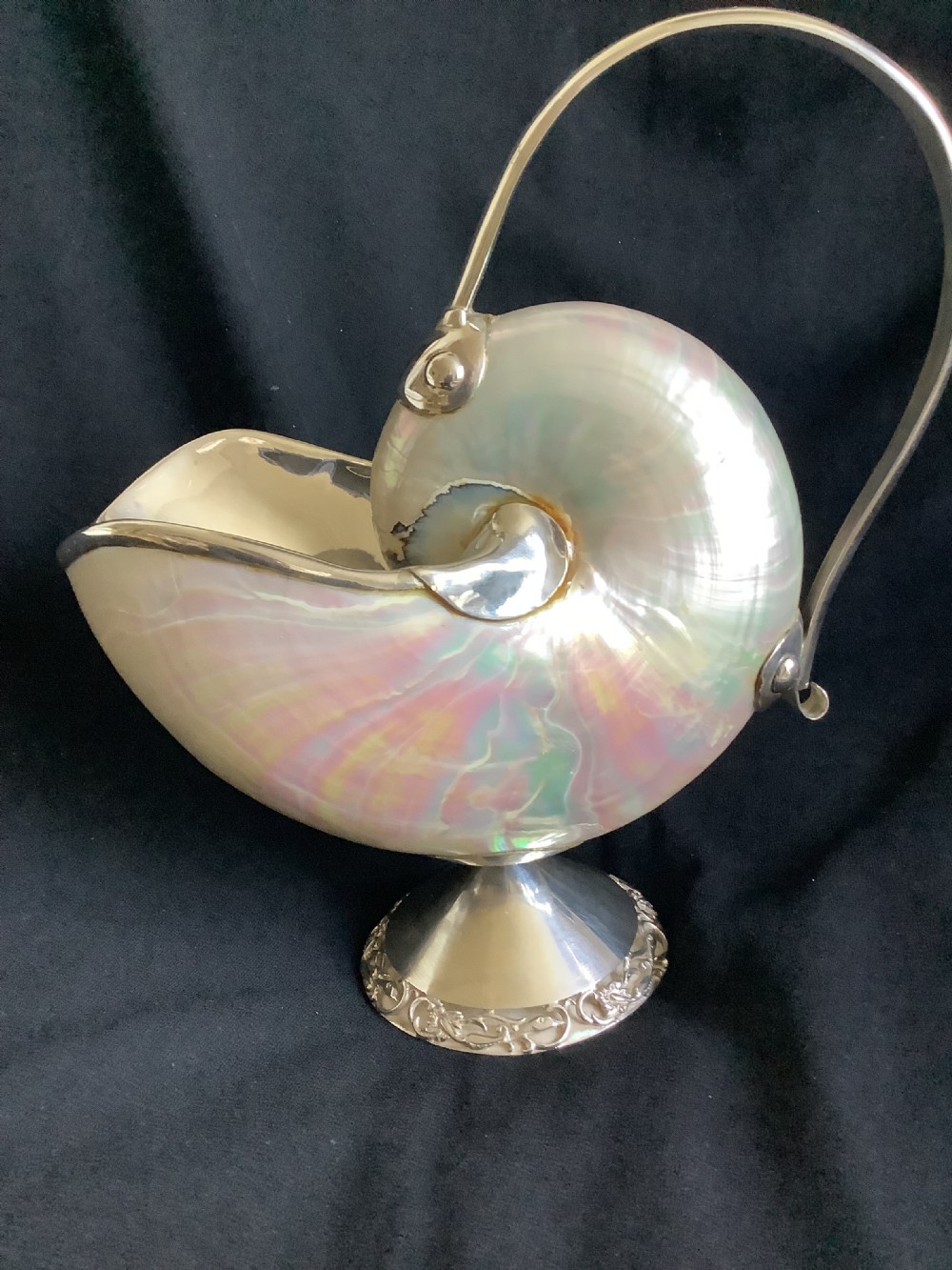 A superb and stunning nautilus shell sauce boat  View III