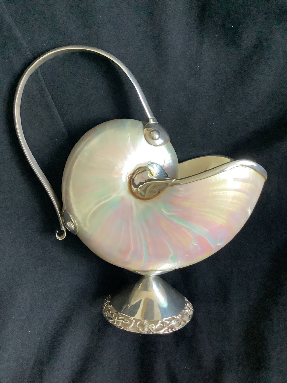 A superb and stunning nautilus shell sauce boat 