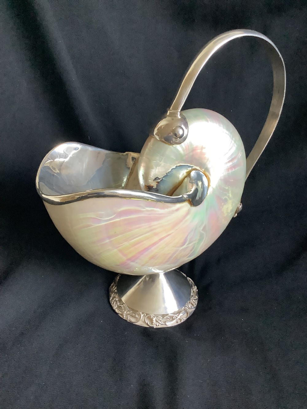 A superb and stunning nautilus shell sauce boat  View IV