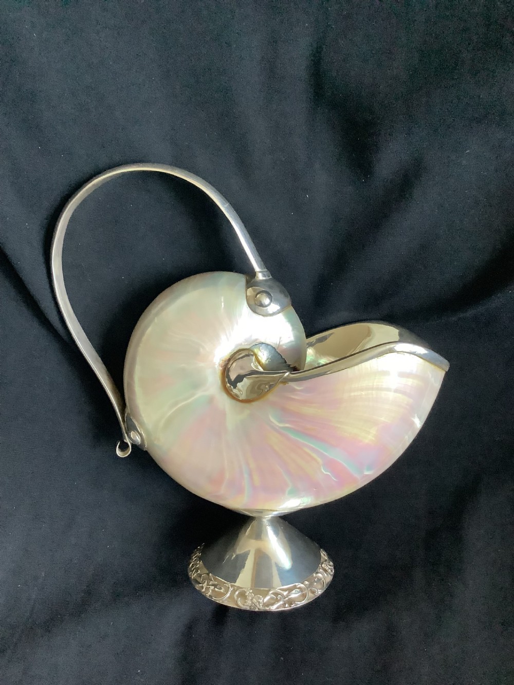 A superb and stunning nautilus shell sauce boat  View V