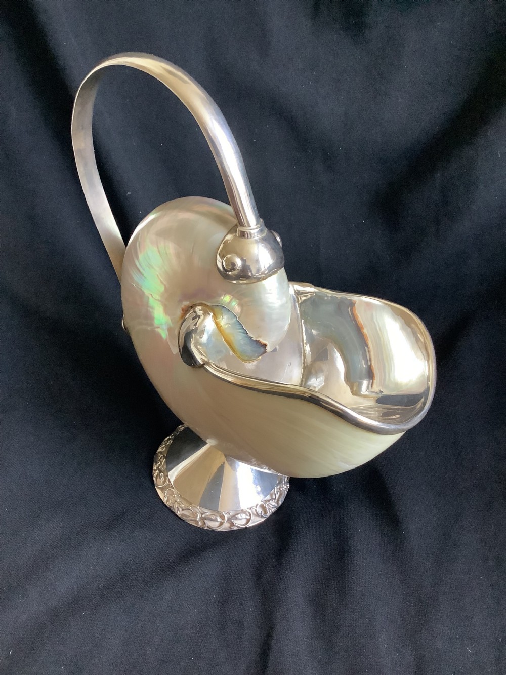 A superb and stunning nautilus shell sauce boat  View VIII