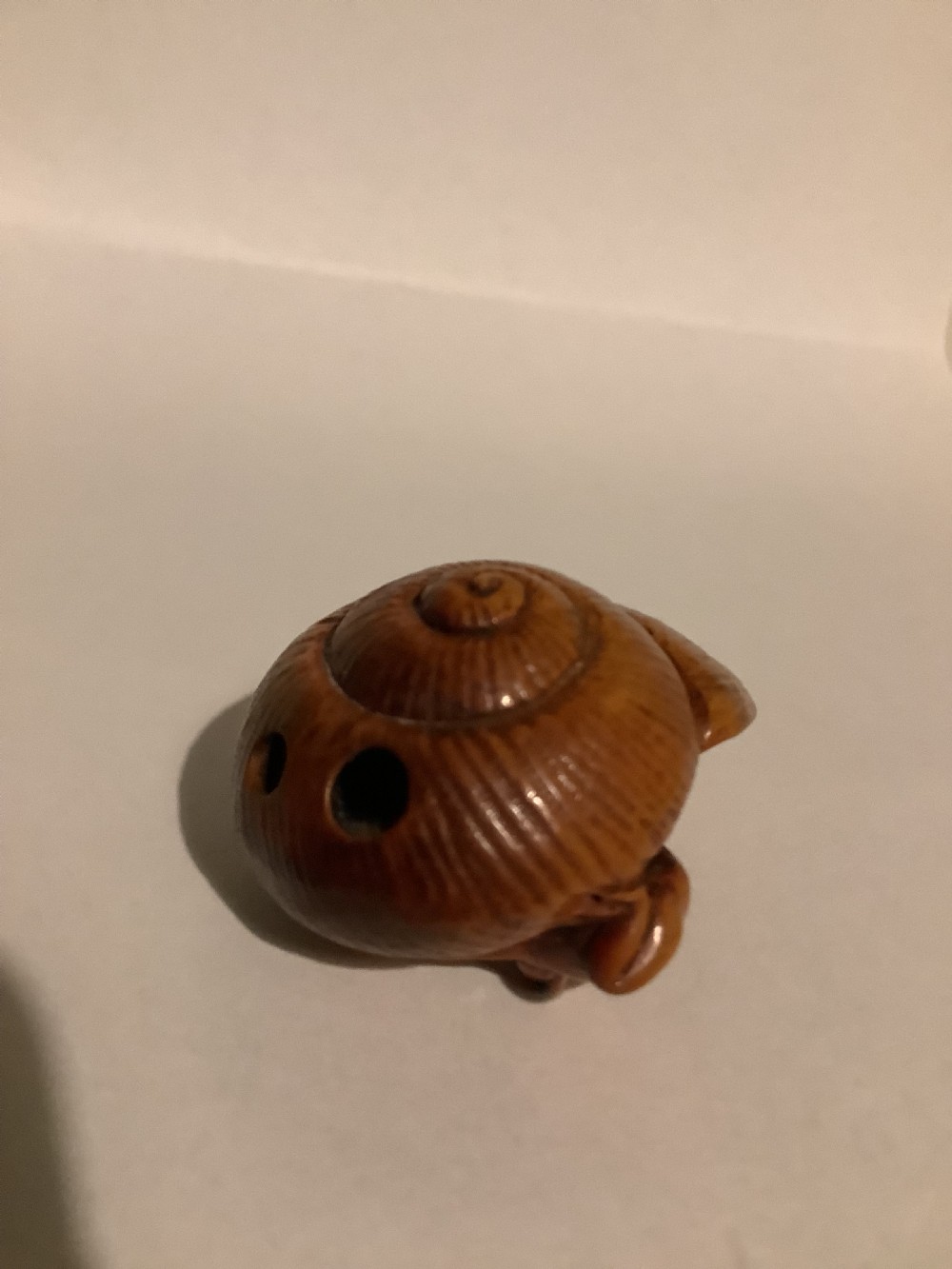 A small Japanese carved wooden netsuke depicting a frog resting on a spiralled shell. View III