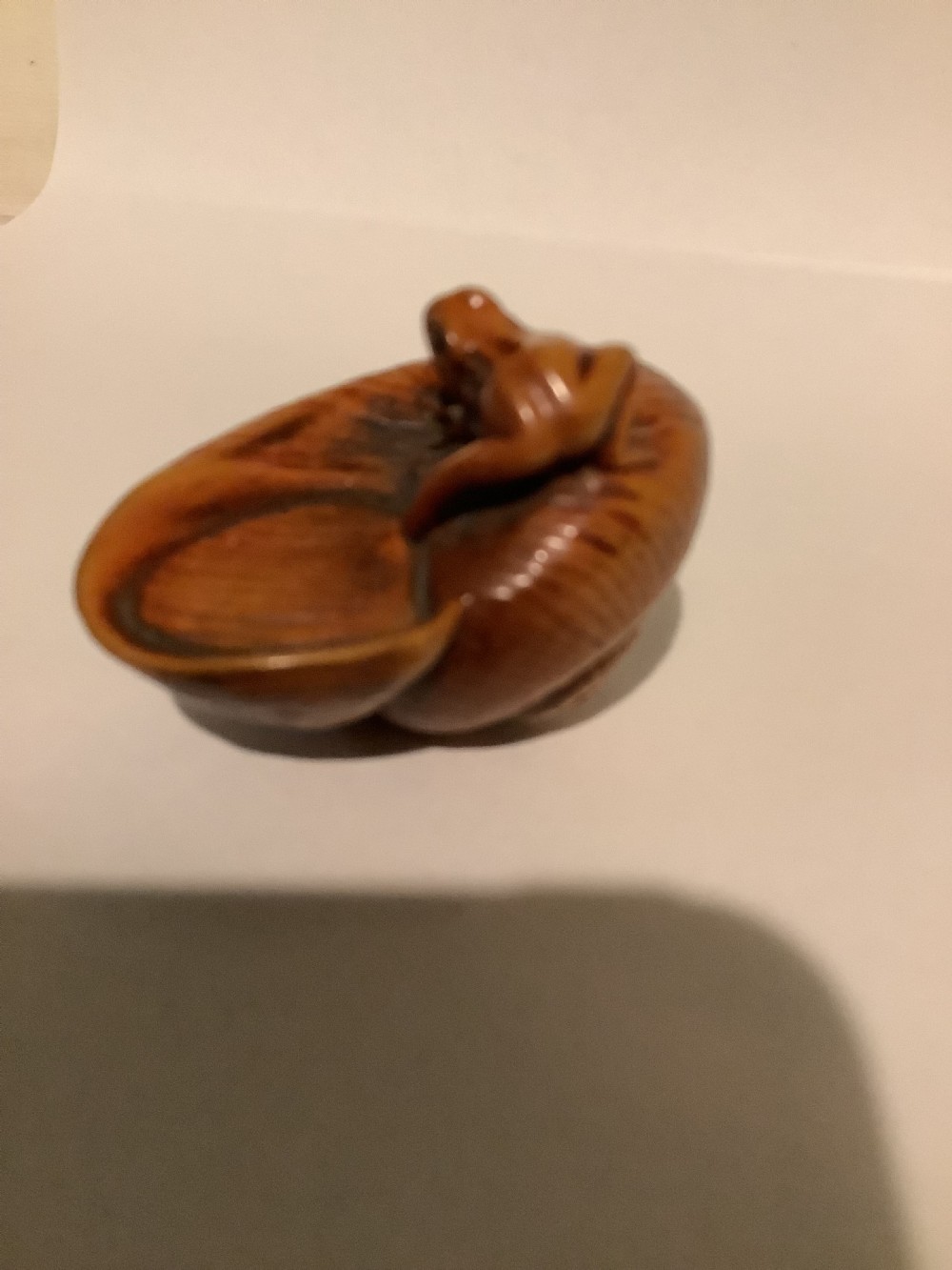 A small Japanese carved wooden netsuke depicting a frog resting on a spiralled shell. View V