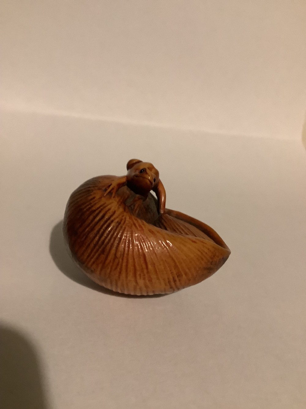 A small Japanese carved wooden netsuke depicting a frog resting on a spiralled shell. View VI