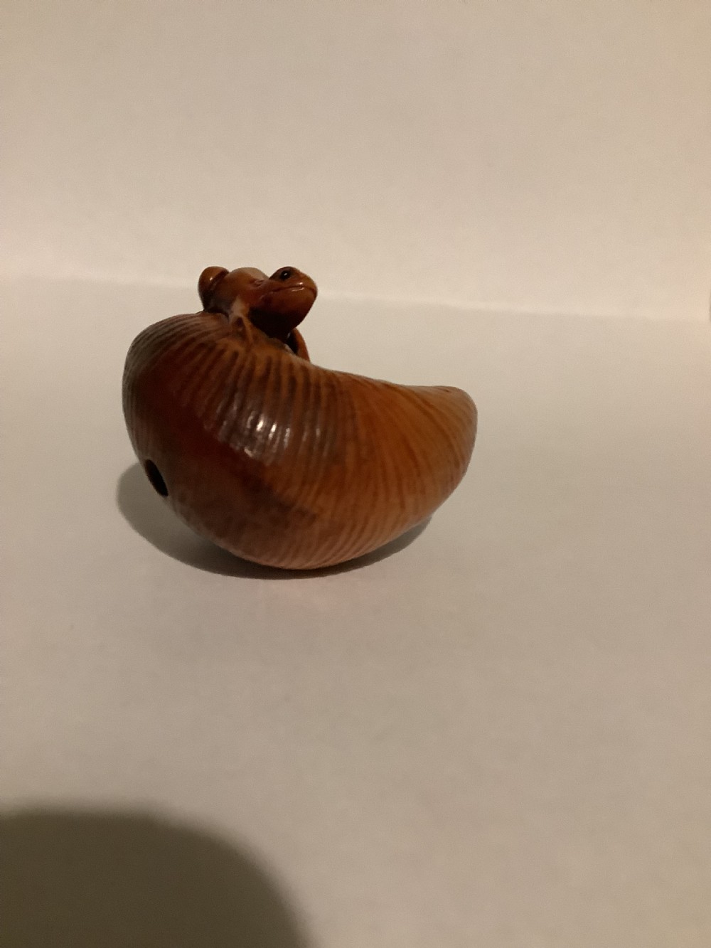 A small Japanese carved wooden netsuke depicting a frog resting on a spiralled shell. View VII