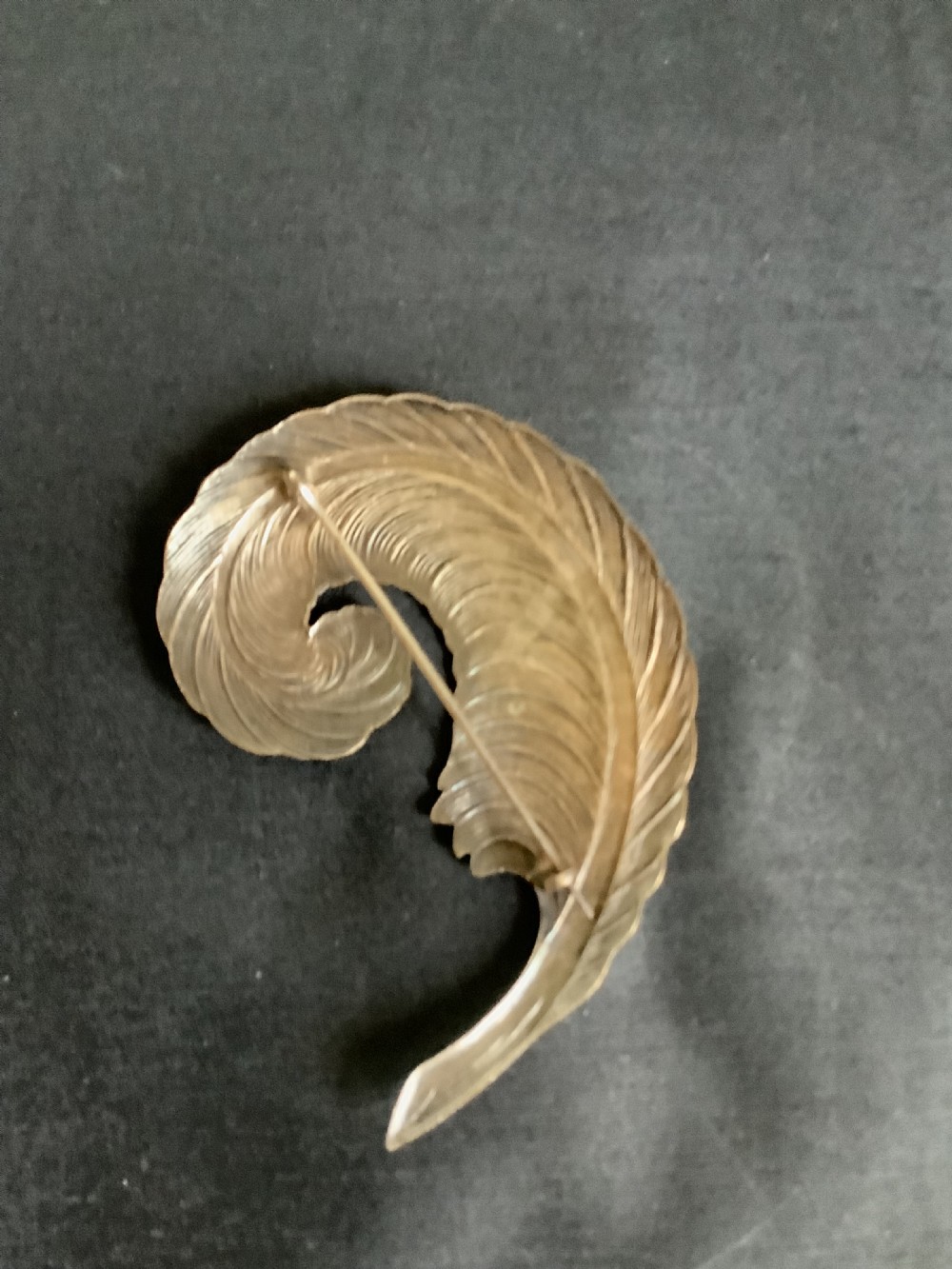 A curved white metal brooch designed in the shape of a textured feather plume with a pin fastening on the reverse. View VII
