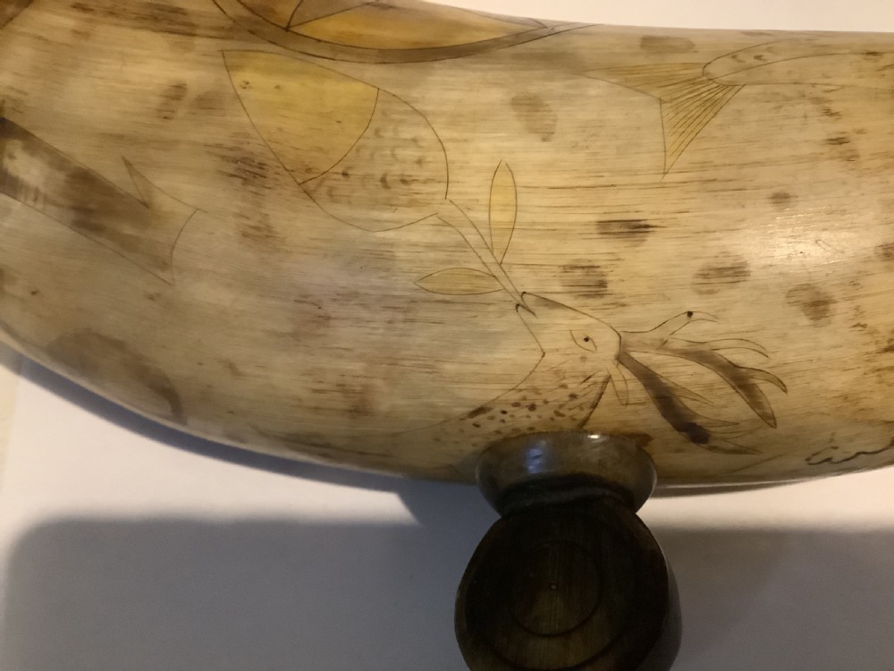 A curved antique powder horn featuring geometric scrimshaw engravings, brass studs along the borders, and a turned wooden plug. View VIII