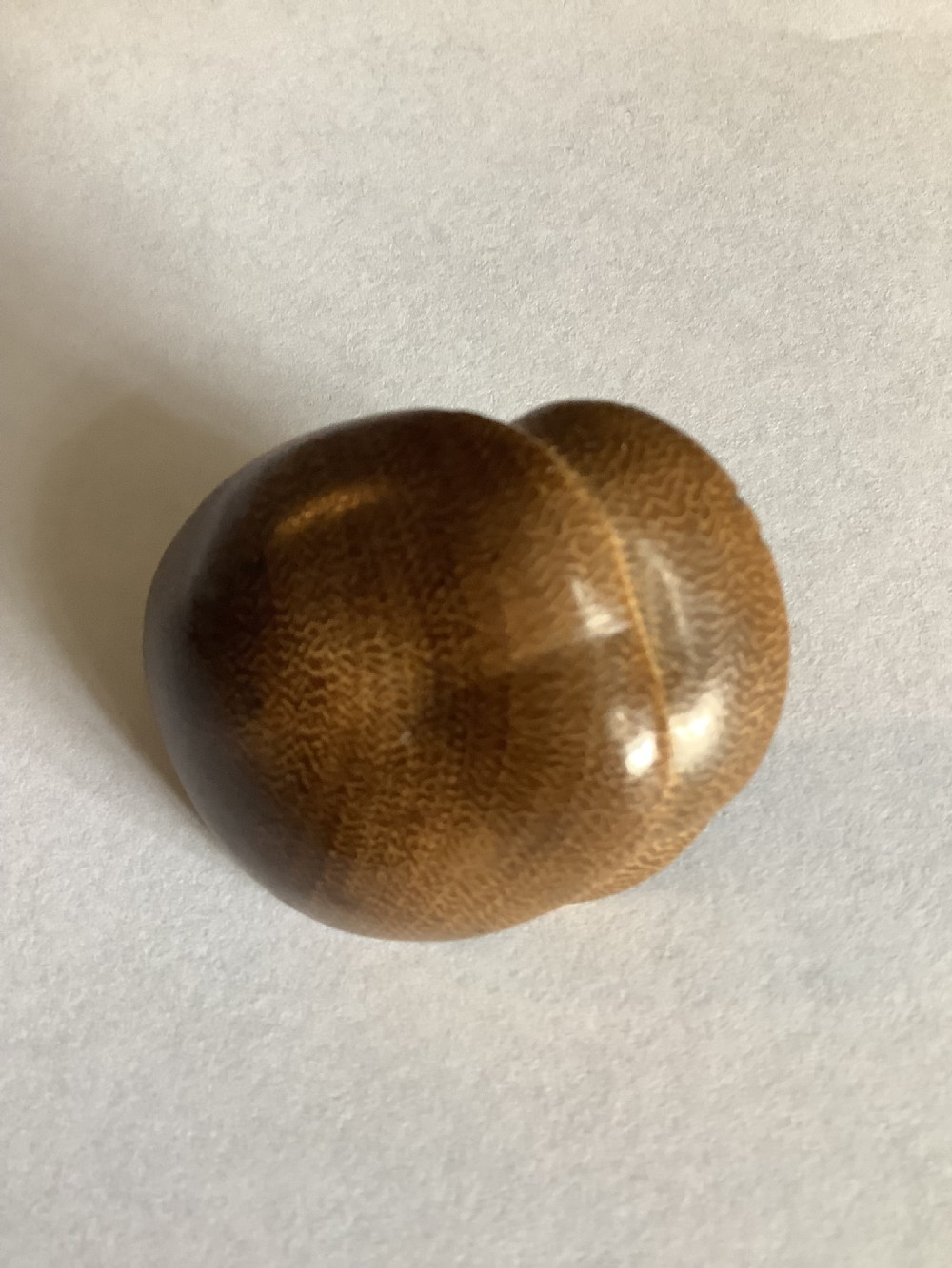 A small, finely carved wooden netsuke depicting a naturalistic cluster of mushrooms with detailed underside gills. View III