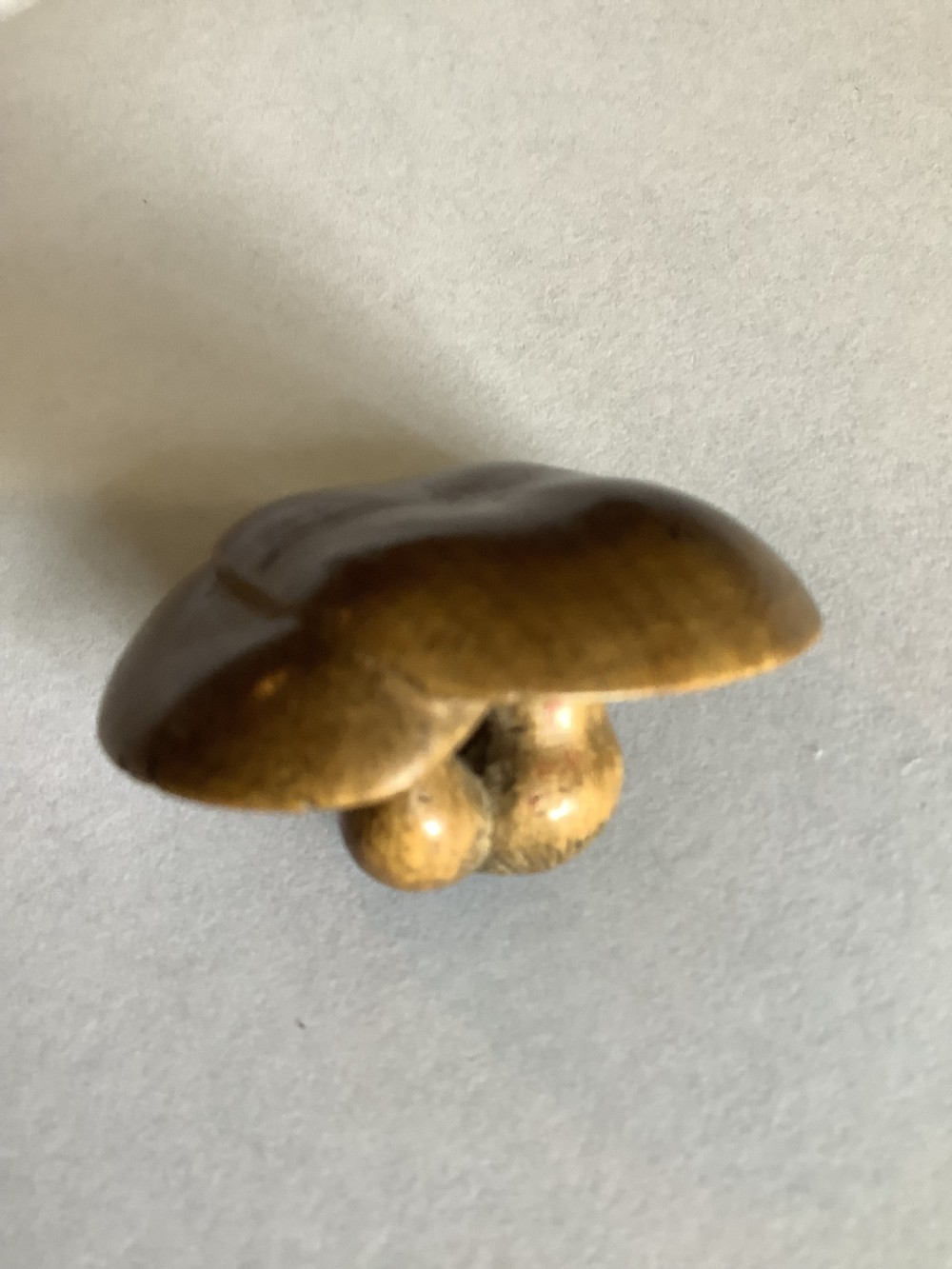 A small, finely carved wooden netsuke depicting a naturalistic cluster of mushrooms with detailed underside gills. View VI
