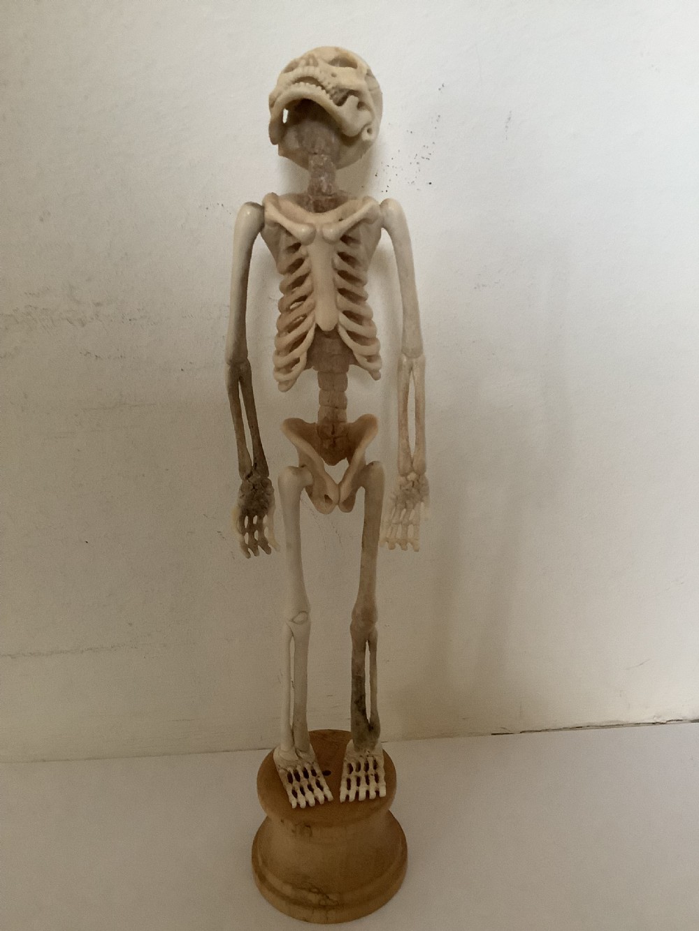 A carved cream-coloured miniature human skeleton standing upright on a round turned wooden plinth against a light backdrop. View II