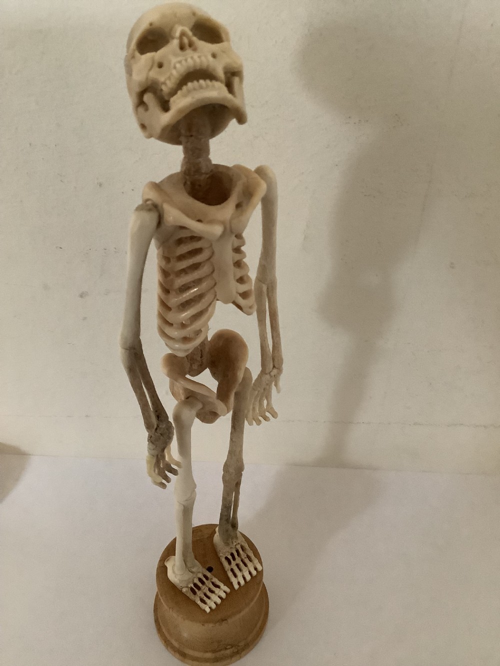 A carved cream-coloured miniature human skeleton standing upright on a round turned wooden plinth against a light backdrop. View III