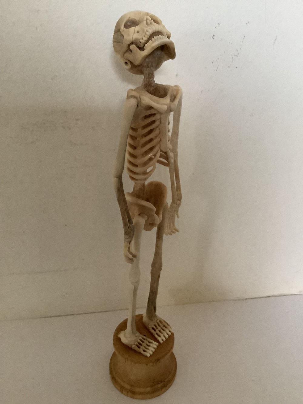 A carved cream-coloured miniature human skeleton standing upright on a round turned wooden plinth against a light backdrop. View IV