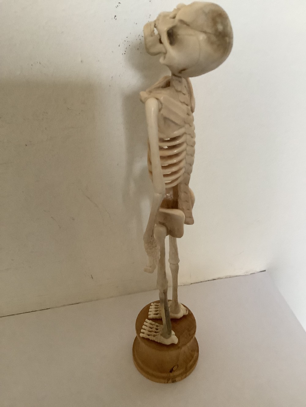 A carved cream-coloured miniature human skeleton standing upright on a round turned wooden plinth against a light backdrop. View VI
