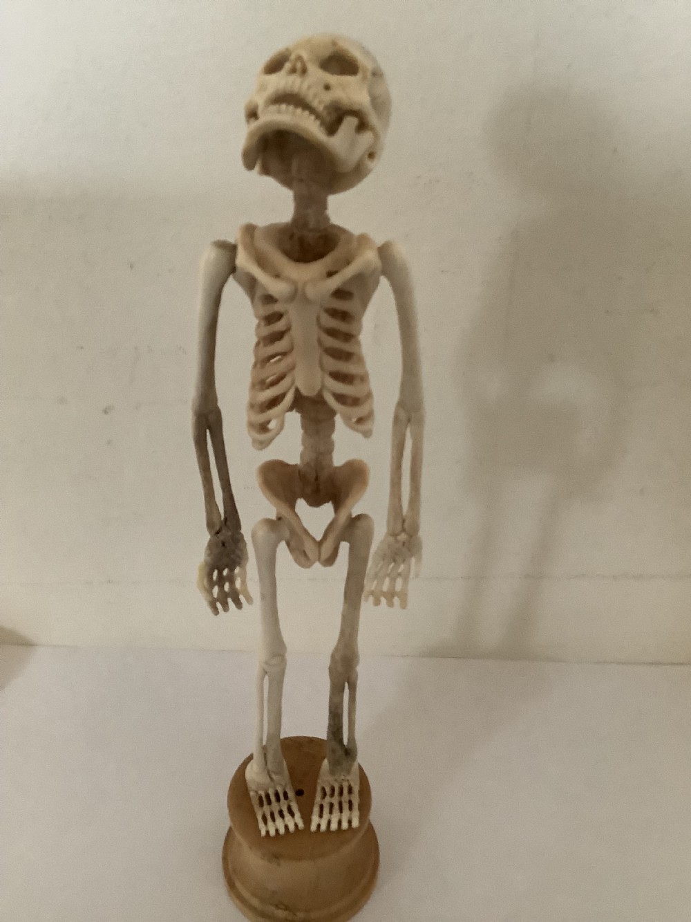 A carved cream-coloured miniature human skeleton standing upright on a round turned wooden plinth against a light backdrop. View IX