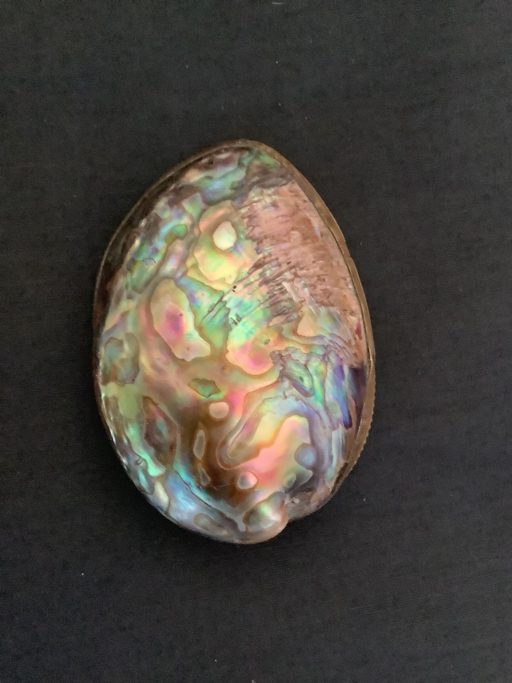 An oval antique snuff box crafted from polished iridescent abalone shell with a metal rim. View VIII
