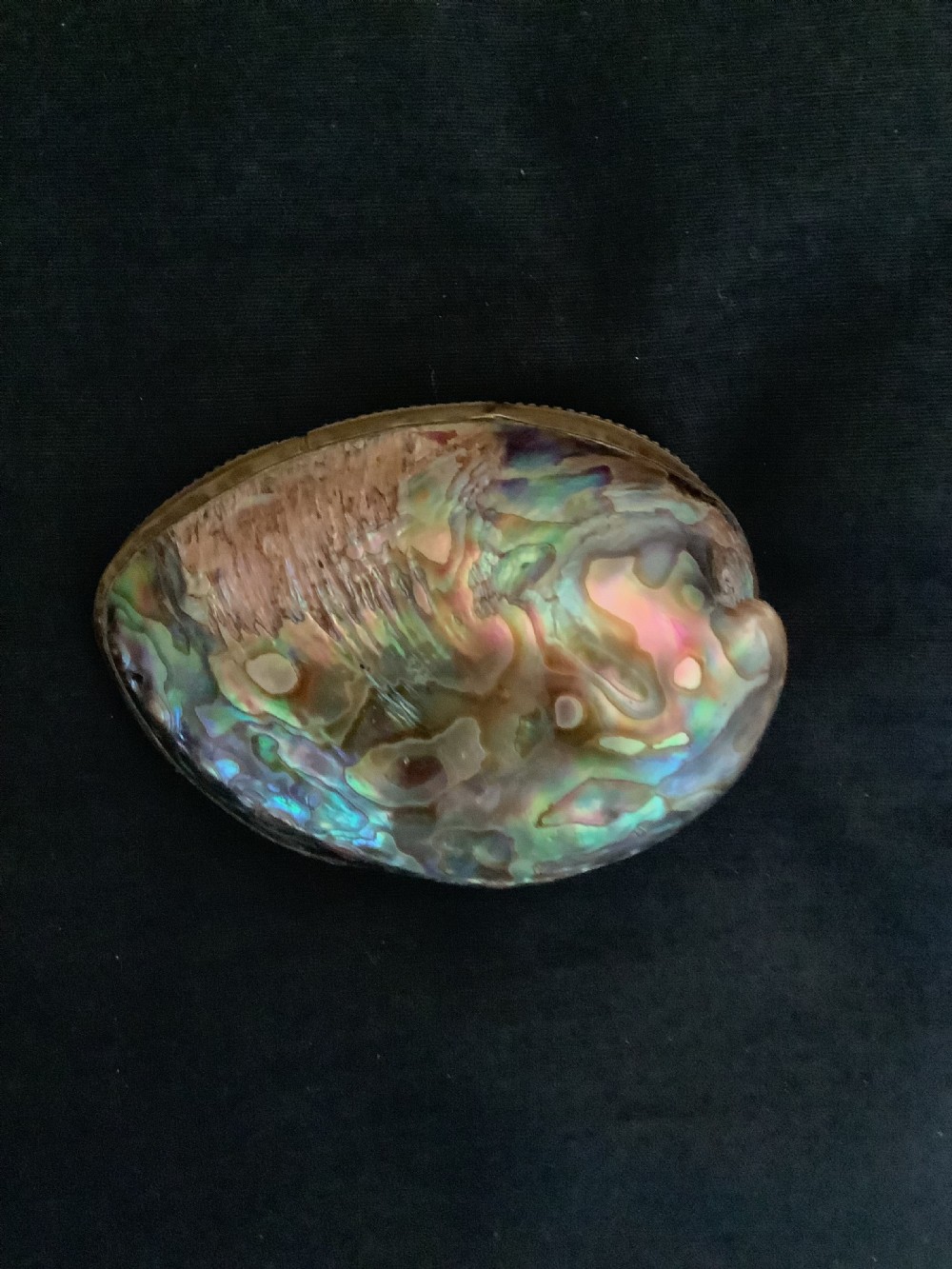 An oval antique snuff box crafted from polished iridescent abalone shell with a metal rim. View VII