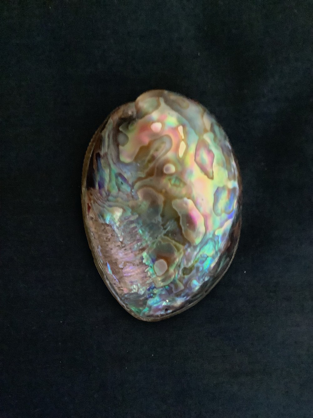 An oval antique snuff box crafted from polished iridescent abalone shell with a metal rim. View III