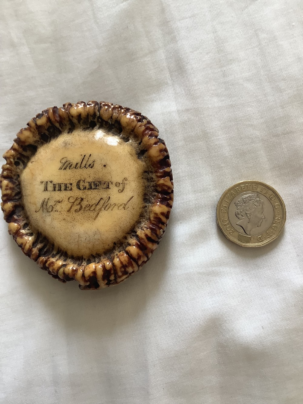An unusual and very charming stag horn snuff box  View II