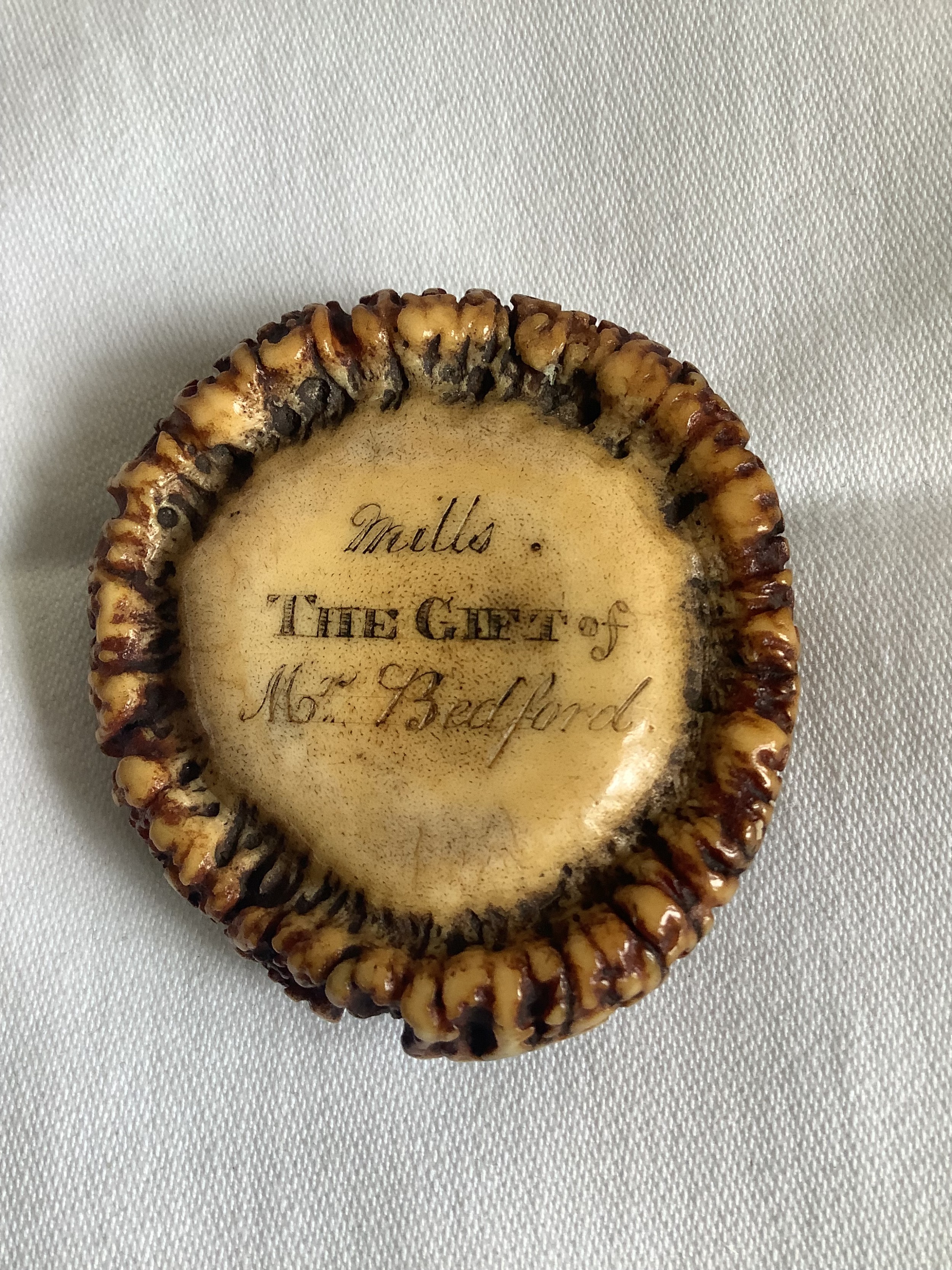 An unusual and very charming stag horn snuff box 