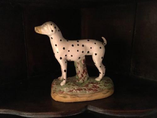 Staffordshire Dalmatian Spotted Dog