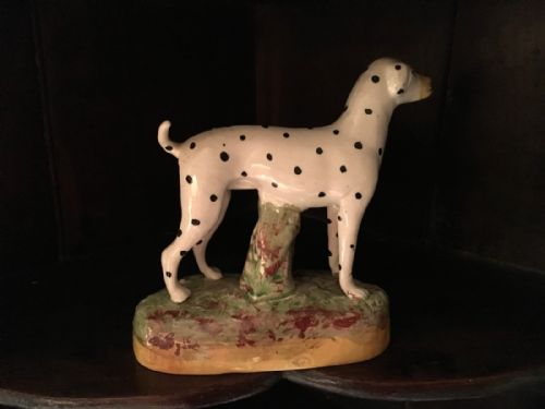 fig 1. Staffordshire Dalmatian Spotted Dog 