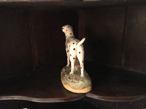 fig 3. Staffordshire Dalmatian Spotted Dog 