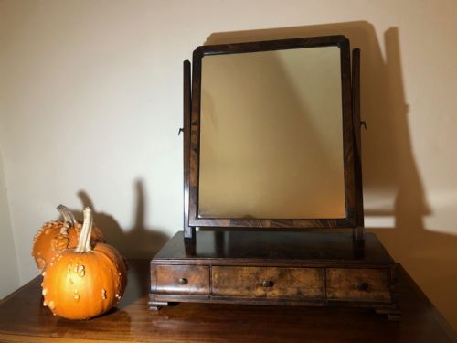 GEORGE II WALNUT BOXBASE SWING TOILET MIRROR - ADDITIONAL PHOTO 1