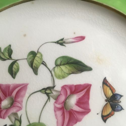 BLOOR DERBY GREEN GROUND BOTANICAL PLATE C1825 - ADDITIONAL PHOTO 1