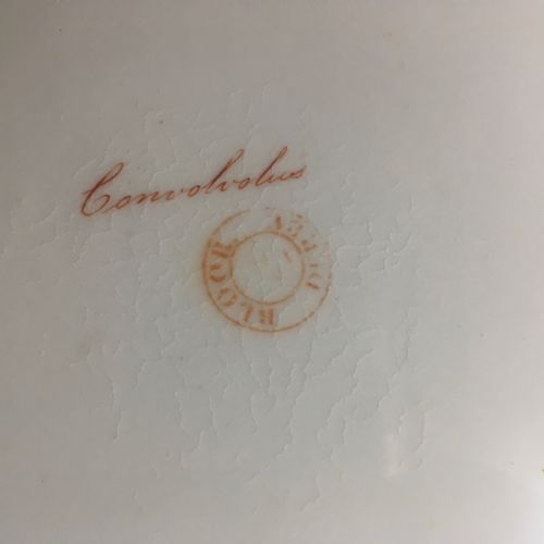 BLOOR DERBY GREEN GROUND BOTANICAL PLATE C1825 - ADDITIONAL PHOTO 2