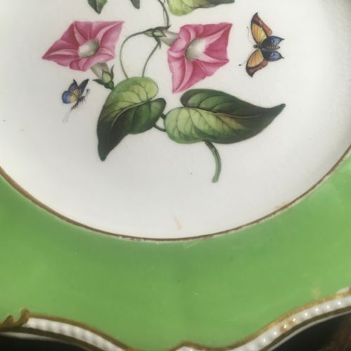 BLOOR DERBY GREEN GROUND BOTANICAL PLATE C1825 - ADDITIONAL PHOTO 3