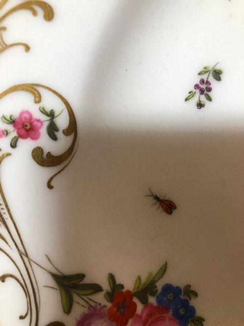 FINELY PAINTED 19TH CENTURY SWANSEA CHINA DESSERT PLATE - ADDITIONAL PHOTO 2