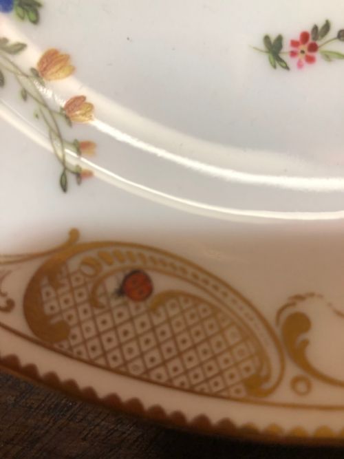 FINELY PAINTED 19TH CENTURY SWANSEA CHINA DESSERT PLATE - ADDITIONAL PHOTO 3