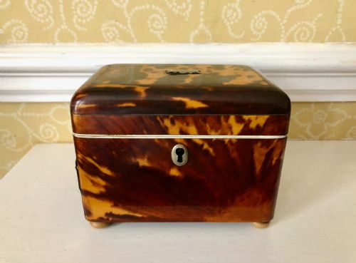 A Regency Tortoiseshell Tea Caddy Circa 1820