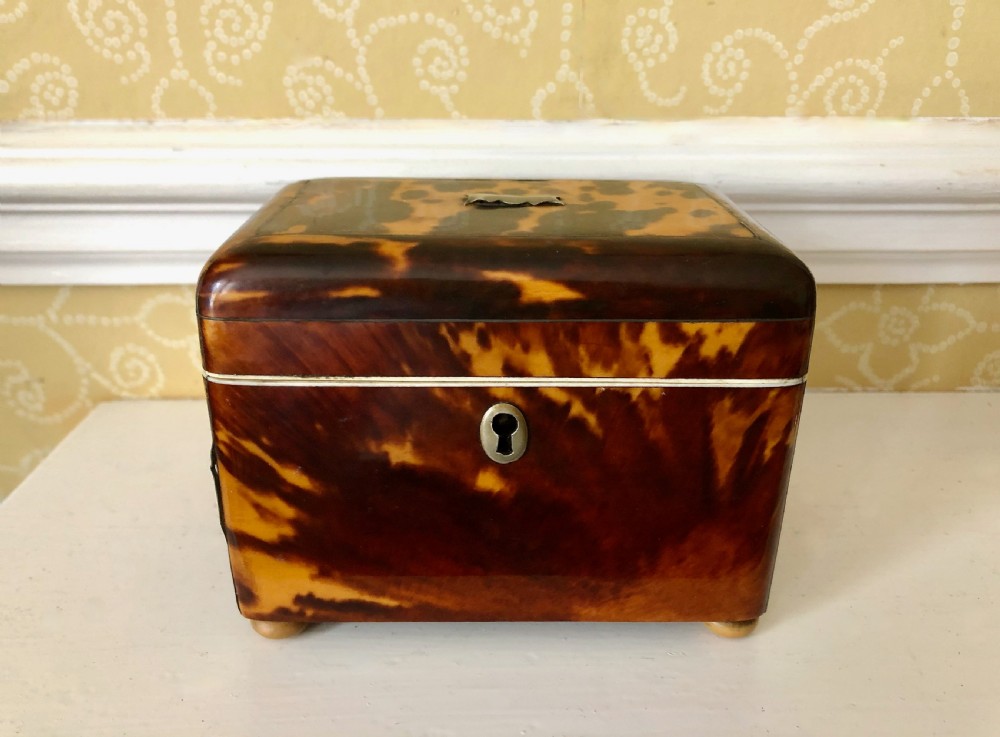 A Regency Tortoiseshell Tea Caddy Circa 1820
