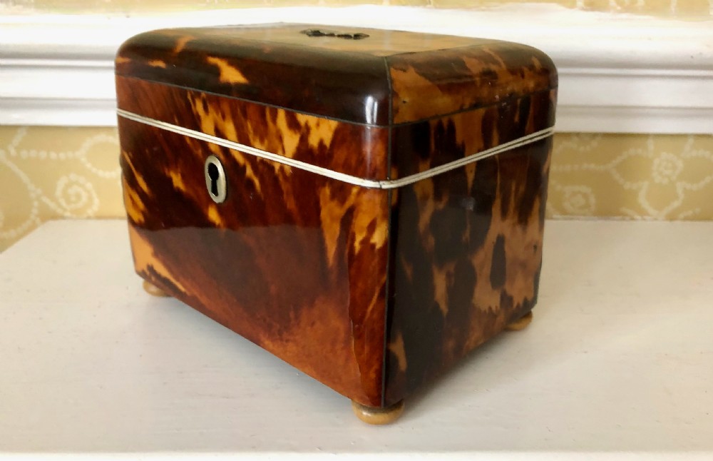 A Regency Tortoiseshell Tea Caddy Circa 1820 View II