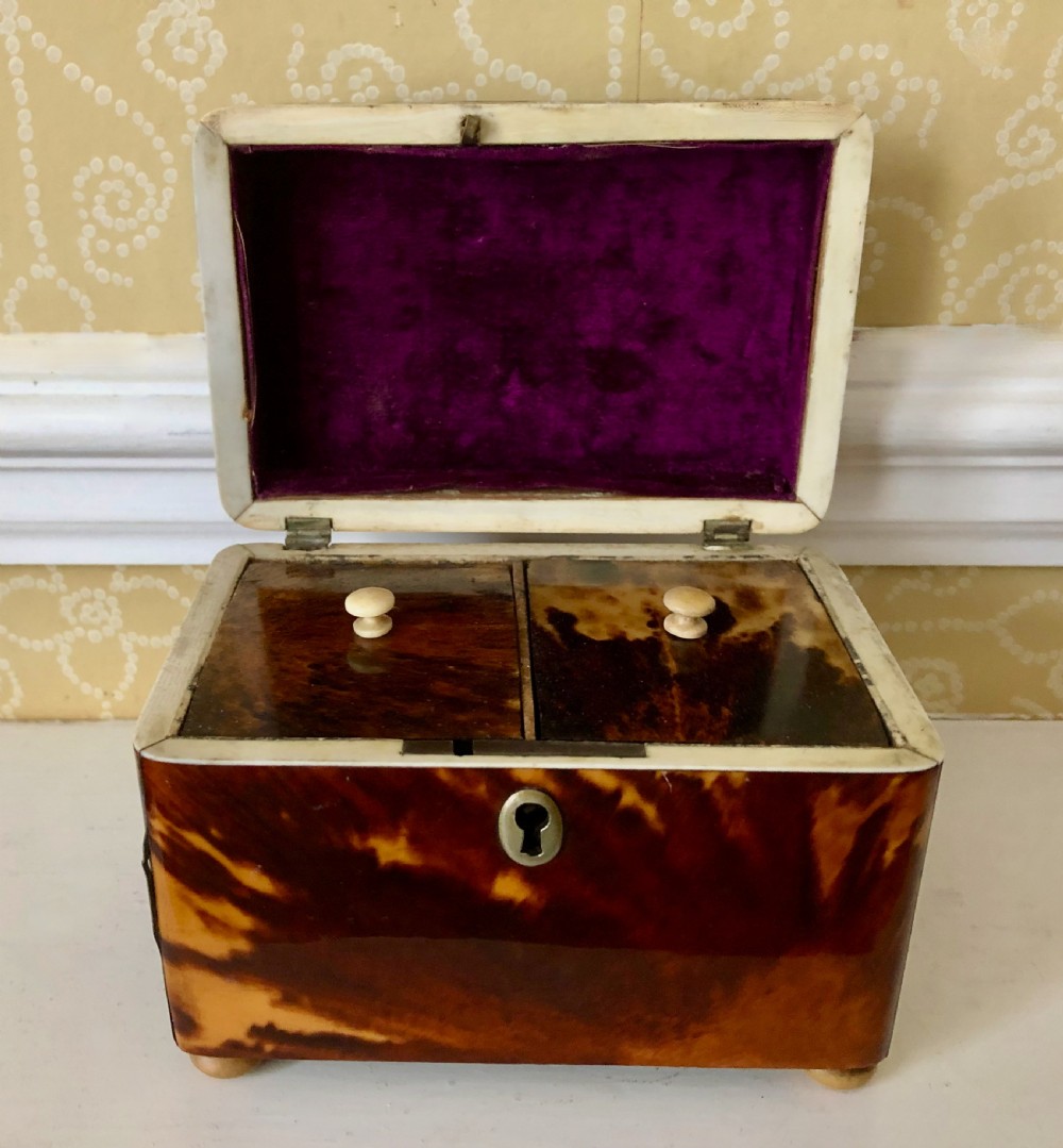 A Regency Tortoiseshell Tea Caddy Circa 1820 View III