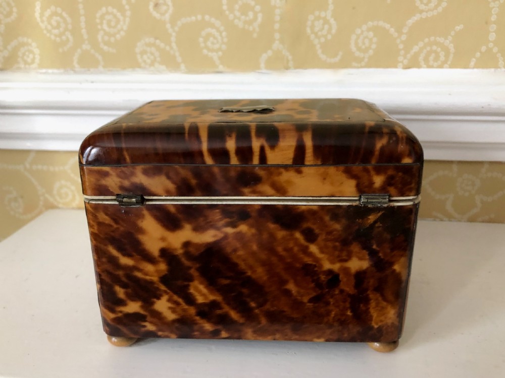 A Regency Tortoiseshell Tea Caddy Circa 1820 View IV