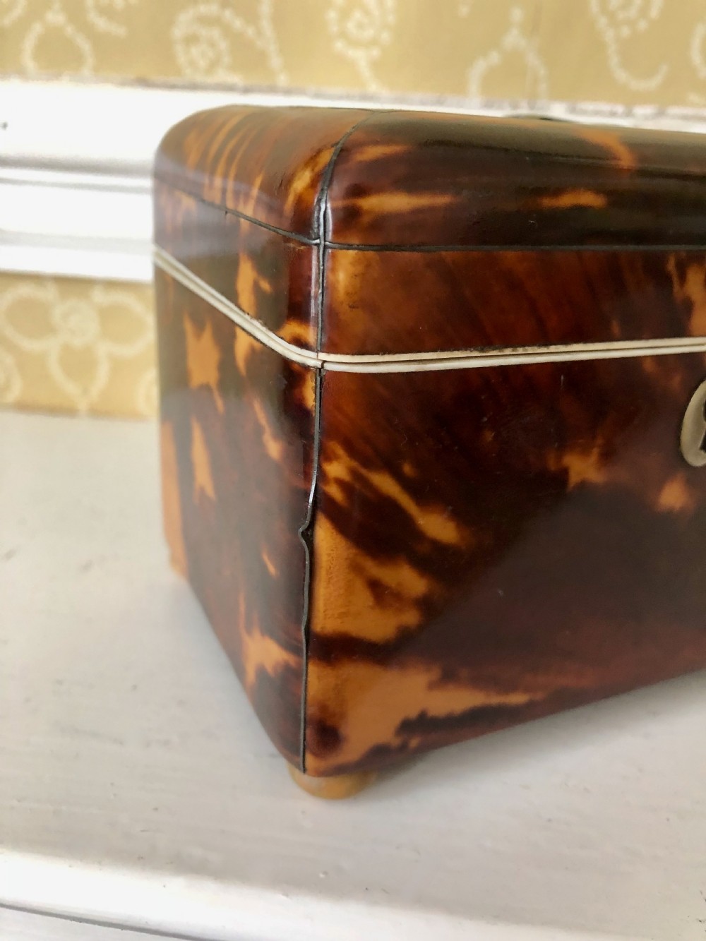 A Regency Tortoiseshell Tea Caddy Circa 1820 View V
