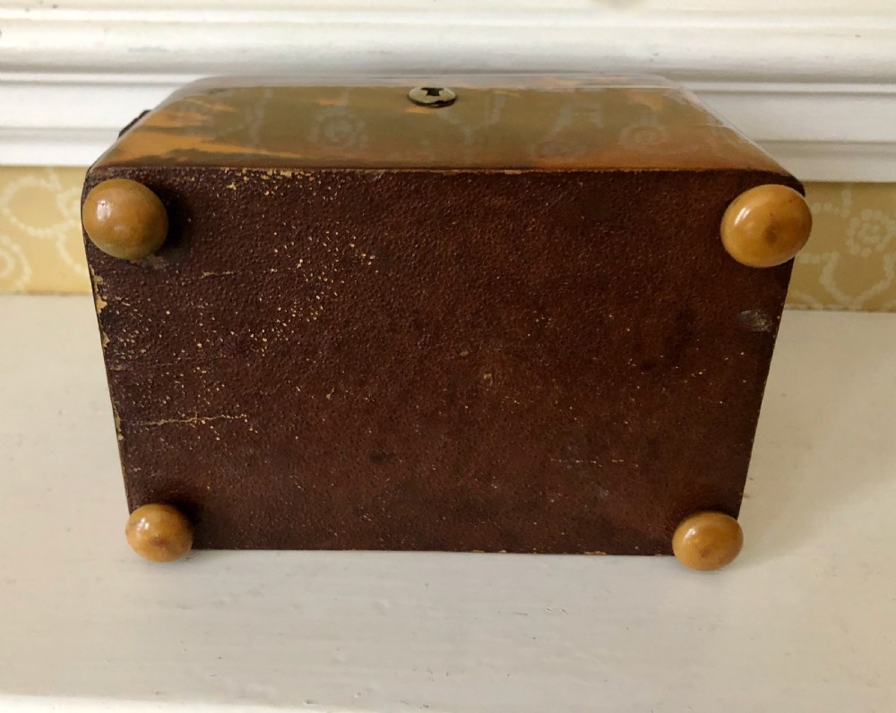 A Regency Tortoiseshell Tea Caddy Circa 1820 View VI