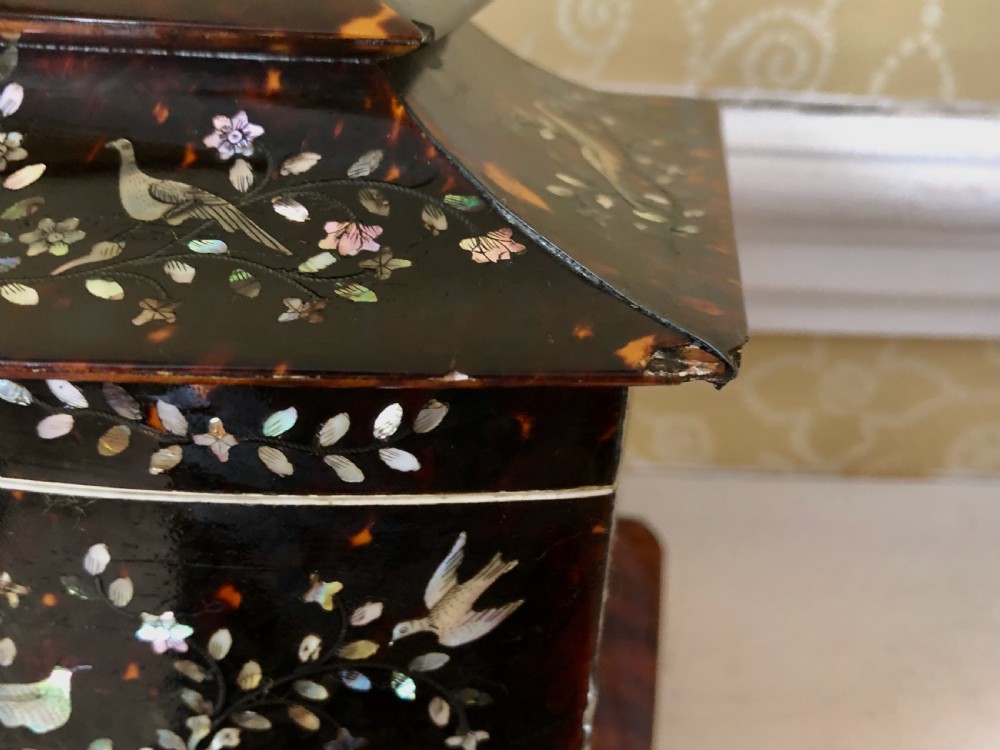 Antique Tortoiseshell Inlaid Tea Caddy c.1830 View V